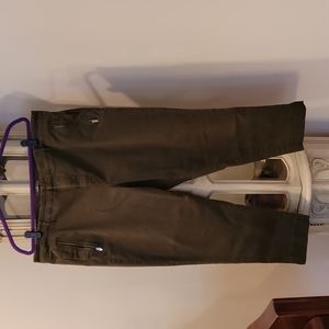 Francis Straight Leg Level+ Pants from Level99Jeans in Cactus